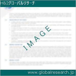 グローバルリサーチ調査レポートのイメージ
